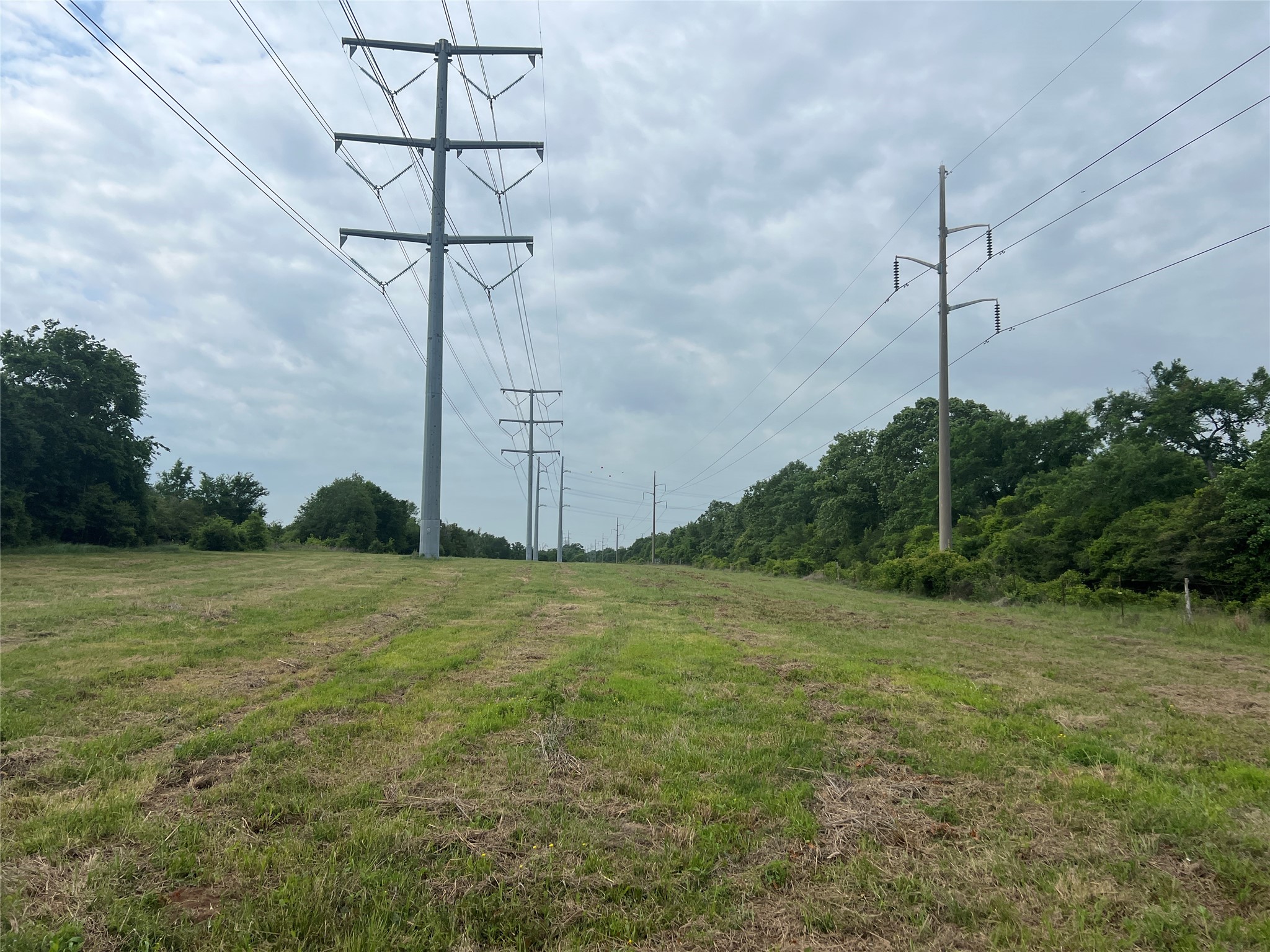 123 County Road 123 Iola, TX 77861 - Photo 11 of 22 a view of a field with a tree in it
