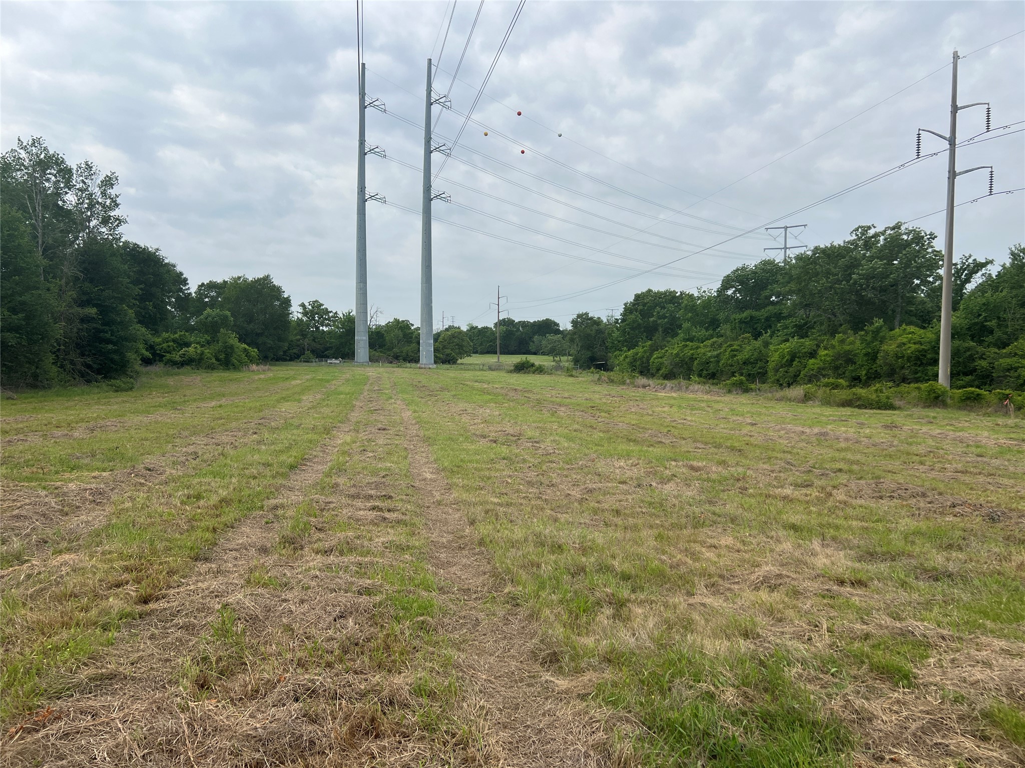 123 County Road 123 Iola, TX 77861 - Photo 12 of 22 a view of a field with a tree in the background