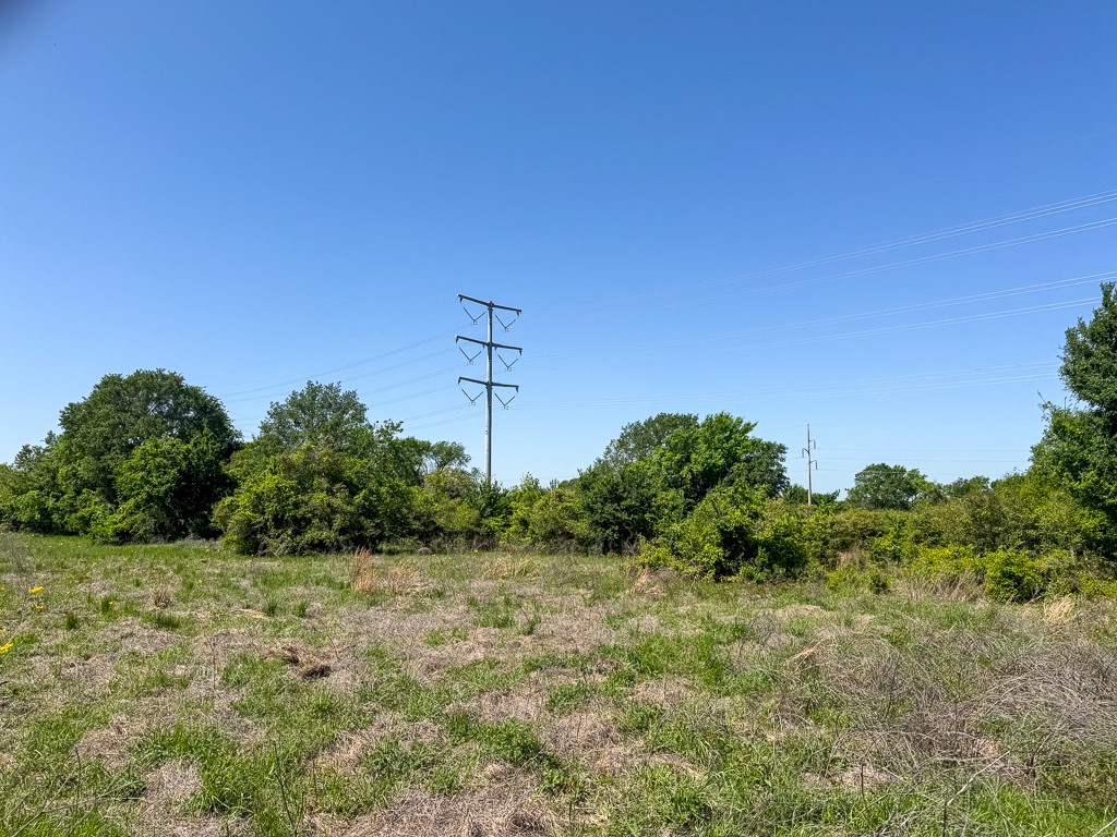 123 County Road 123 Iola, TX 77861 - Photo 13 of 22 a view of a field with a tree in the background
