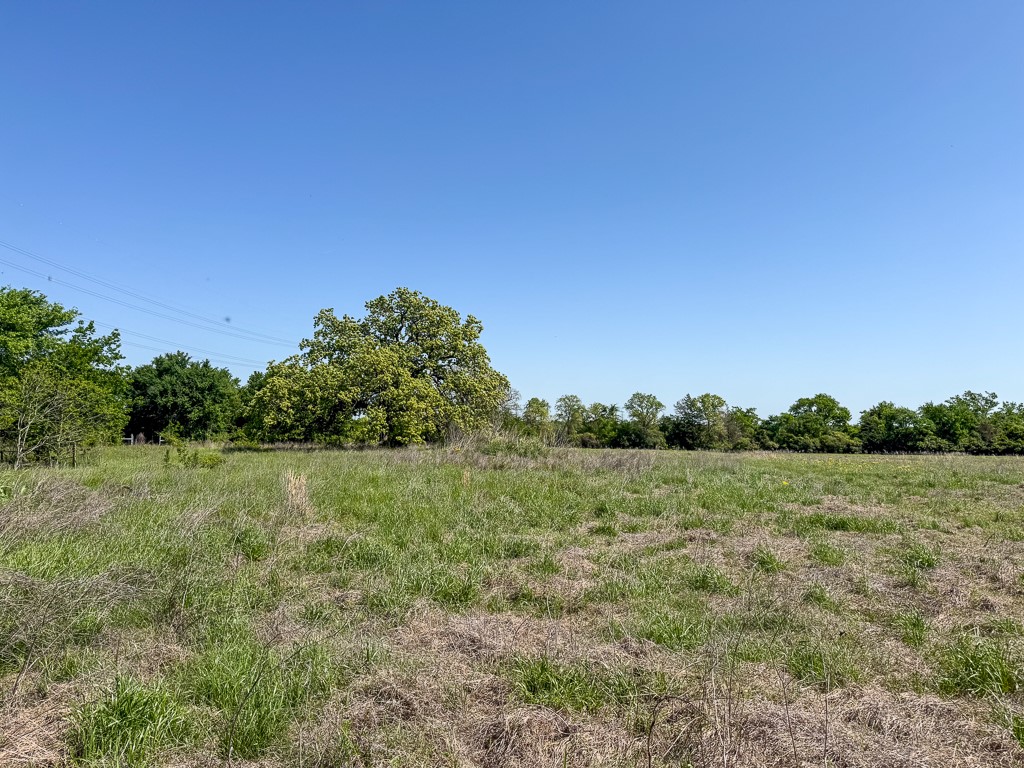 123 County Road 123 Iola, TX 77861 - Photo 15 of 22 a view of a field with a tree in the background