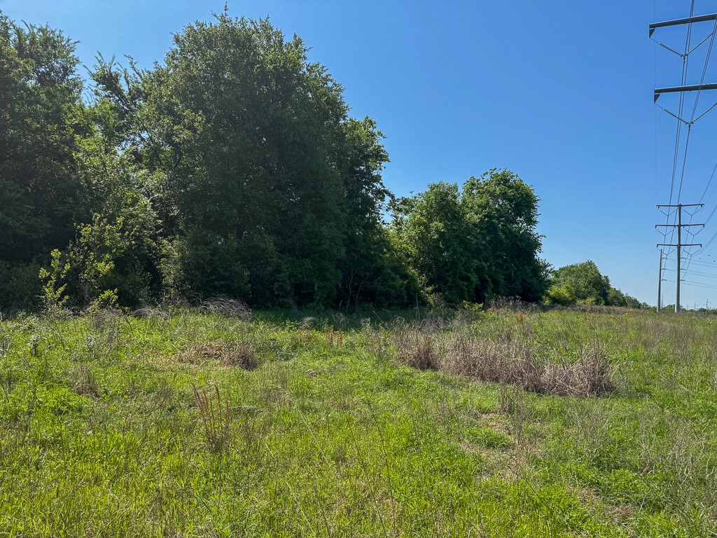 123 County Road 123 Iola, TX 77861 - Photo 17 of 22 a view of outdoor space and yard