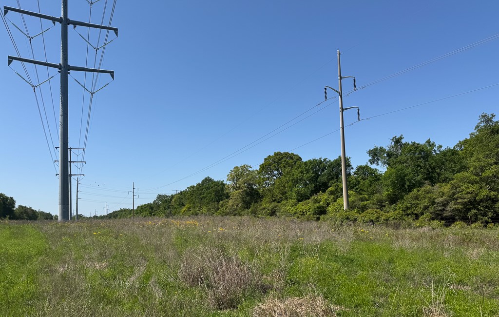 123 County Road 123 Iola, TX 77861 - Photo 18 of 22 a view of a back yard