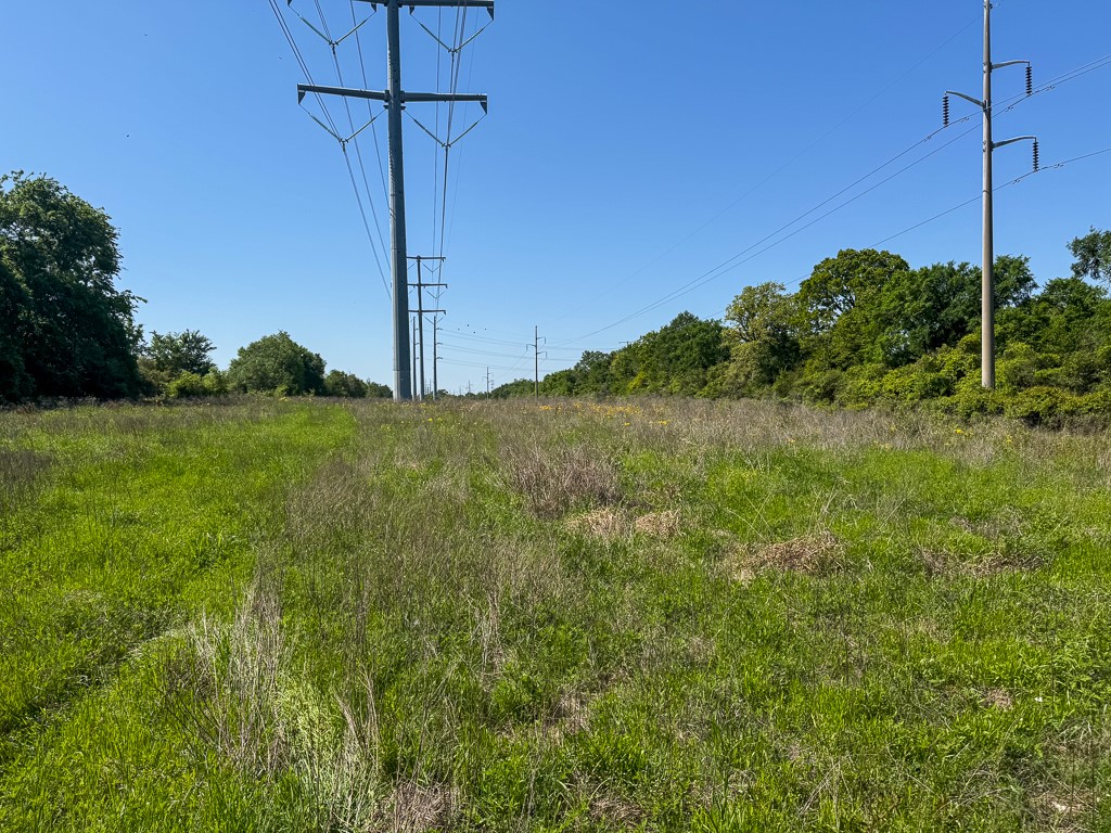 123 County Road 123 Iola, TX 77861 - Photo 19 of 22 a view of a field with a tree