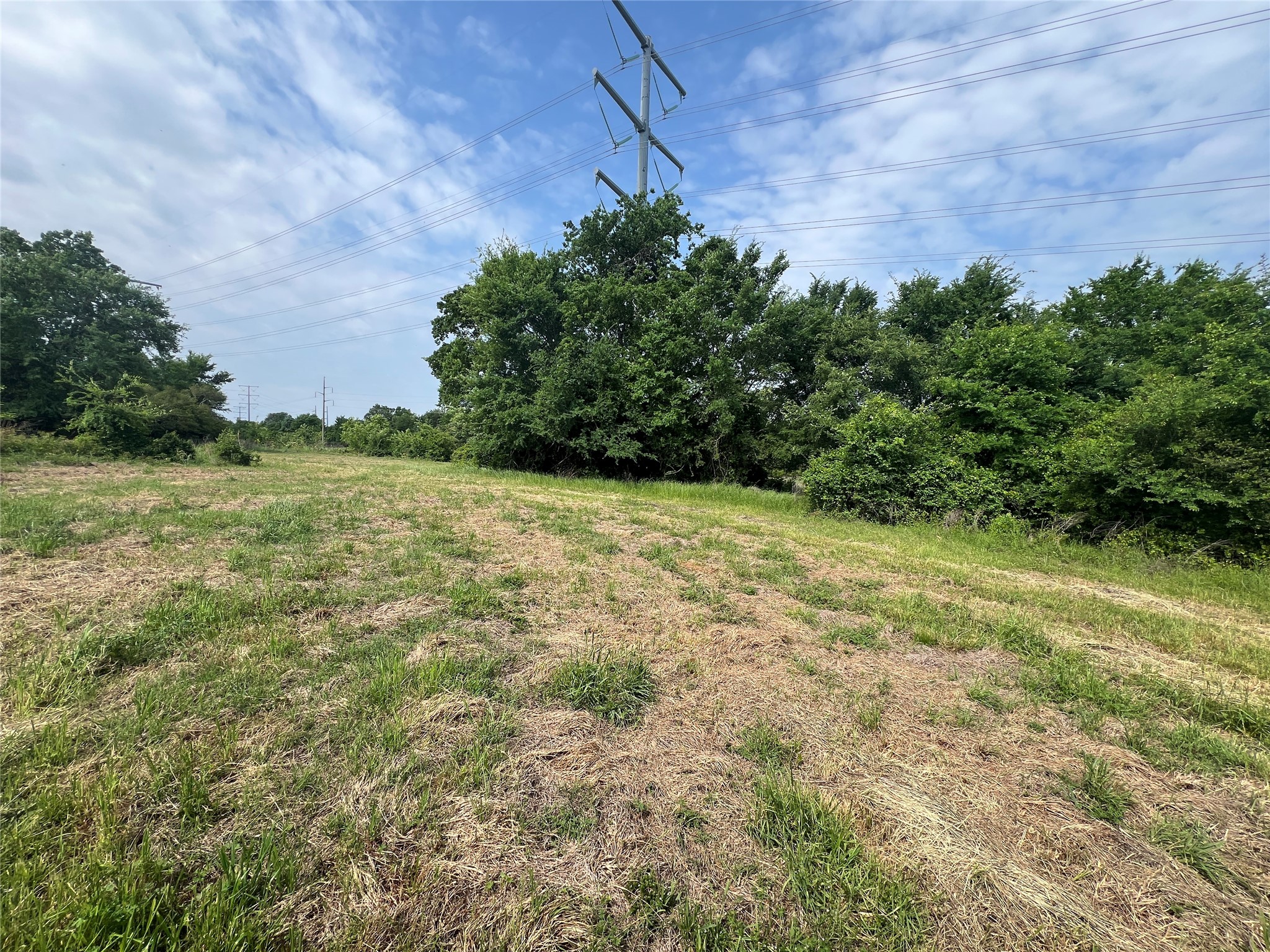 123 County Road 123 Iola, TX 77861 - Photo 2 of 22 a backyard of a house with lots of green space