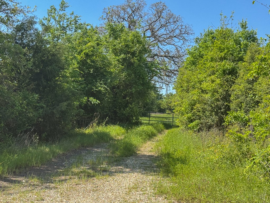 123 County Road 123 Iola, TX 77861 - Photo 21 of 22 a view of a lake view