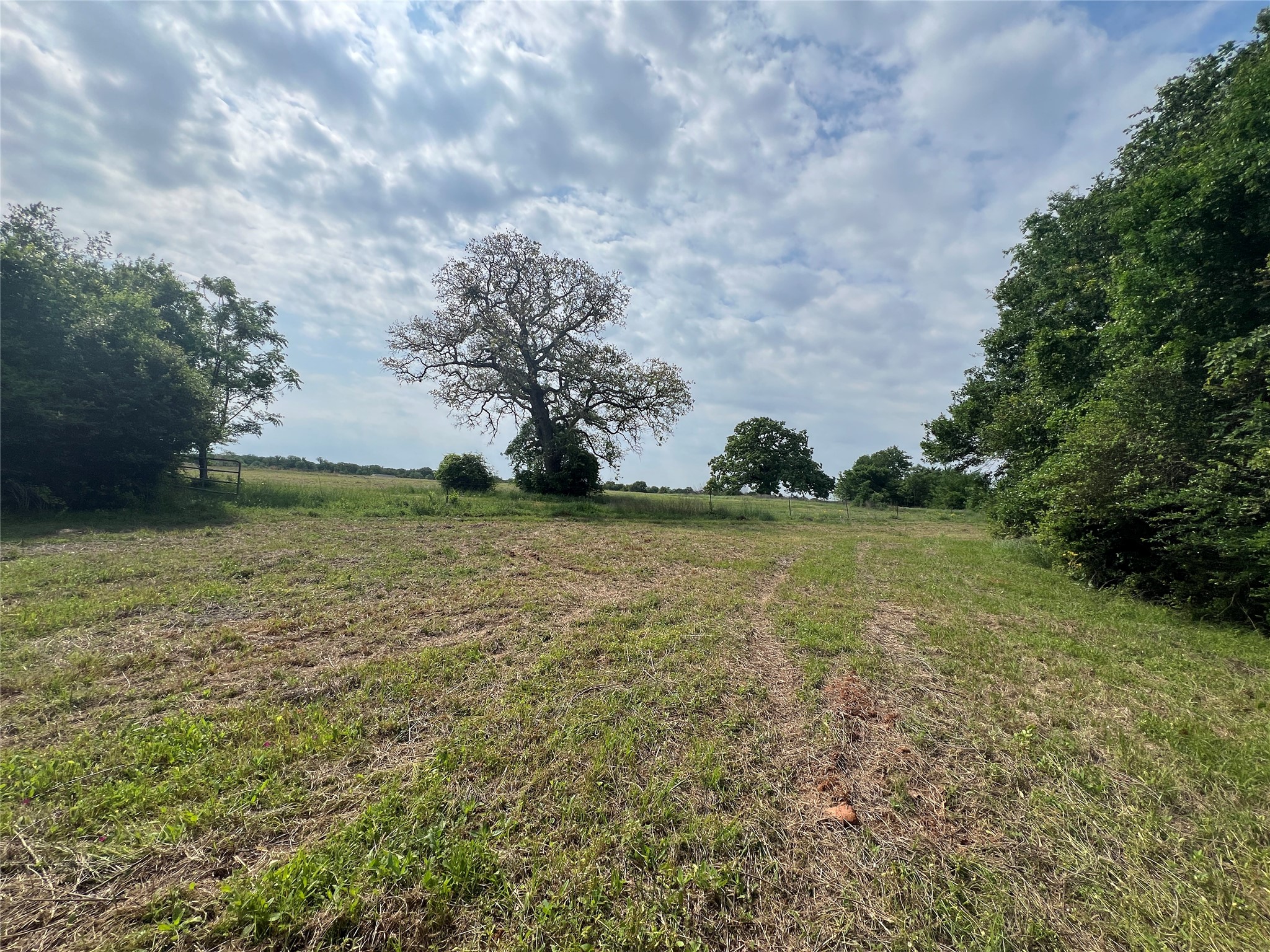 123 County Road 123 Iola, TX 77861 - Photo 3 of 22 a view of a lake view