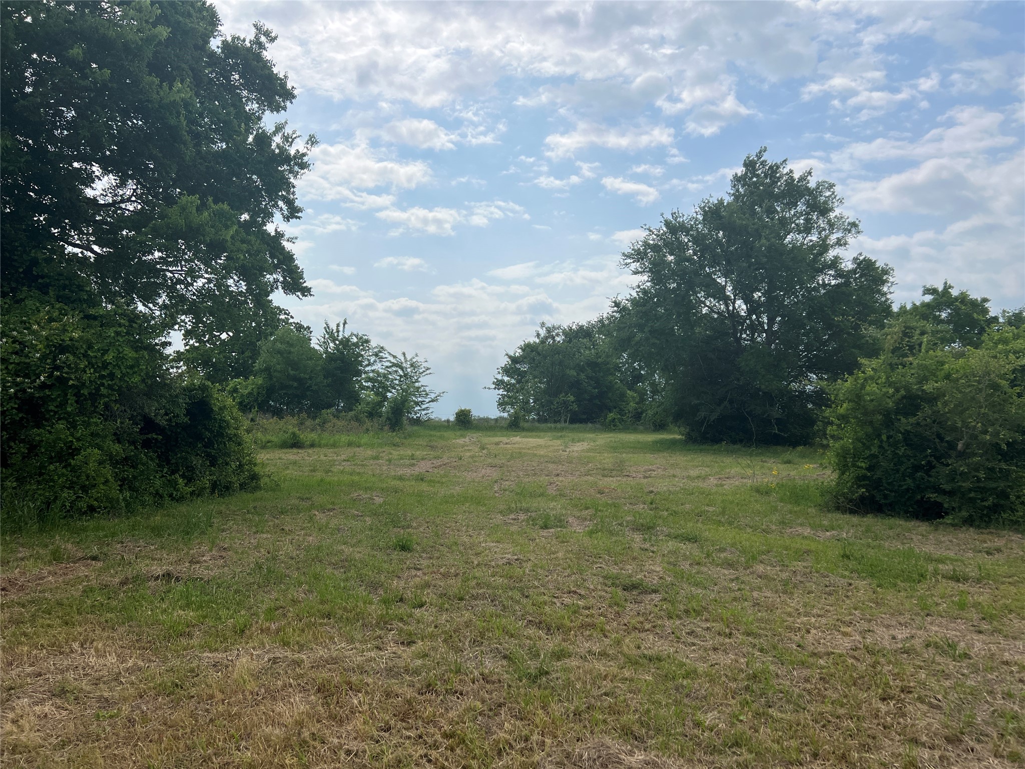 123 County Road 123 Iola, TX 77861 - Photo 5 of 22 a view of outdoor space and yard