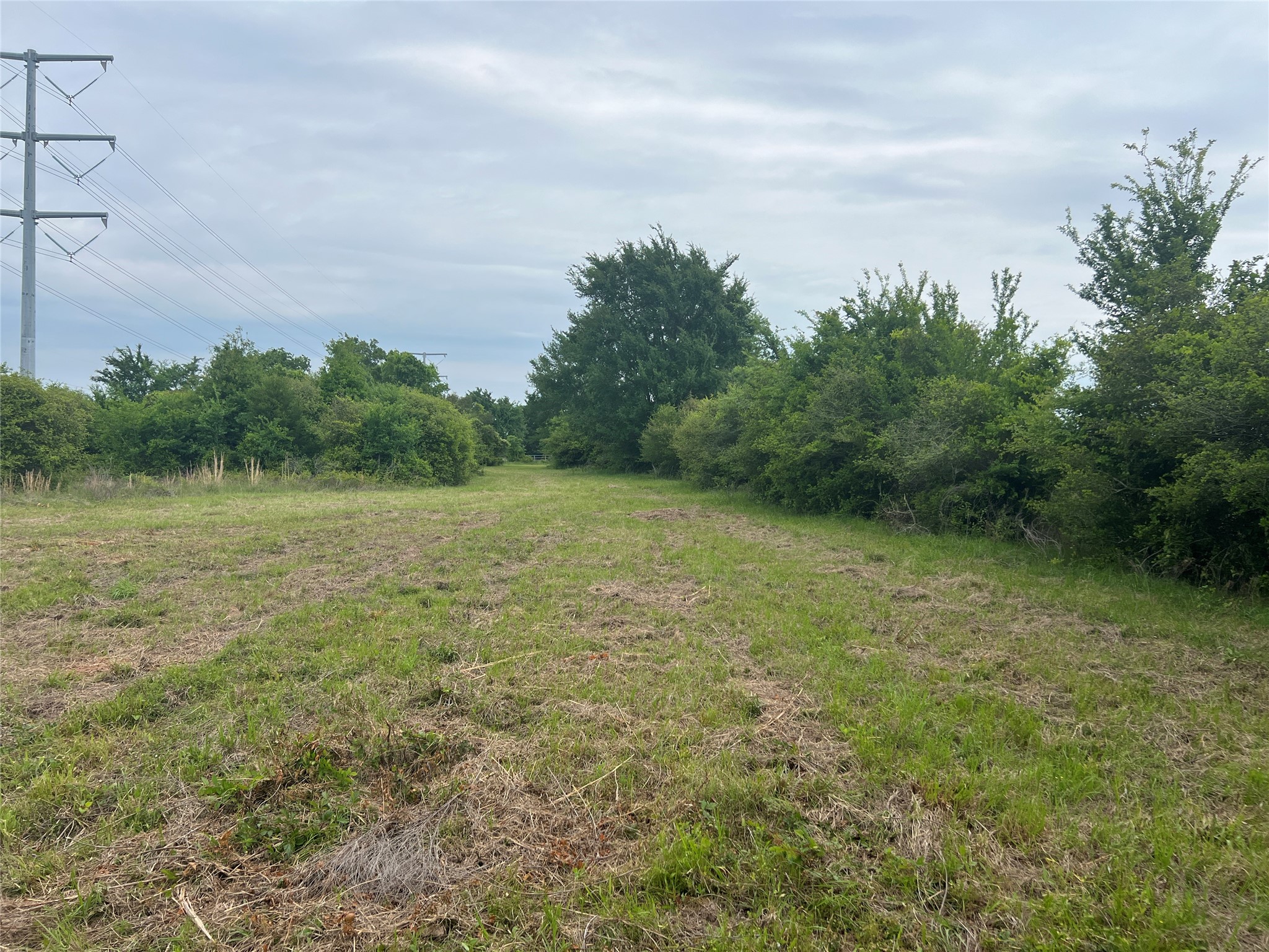 123 County Road 123 Iola, TX 77861 - Photo 7 of 22 a view of a field with trees in the background