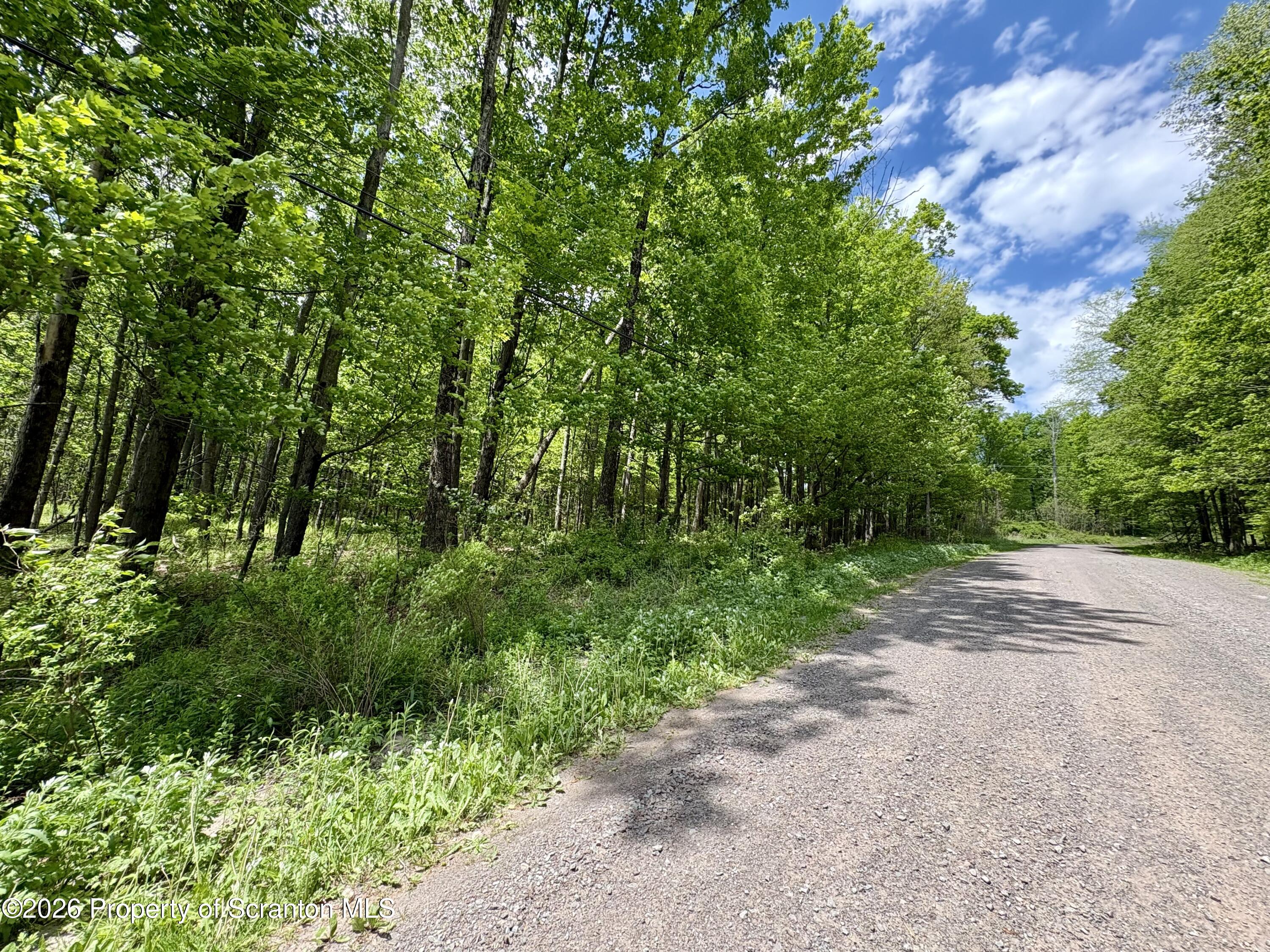 Marys Ln Spring Brook Moscow, PA 18444 - Photo 1 of 3 a view of a street with a trees