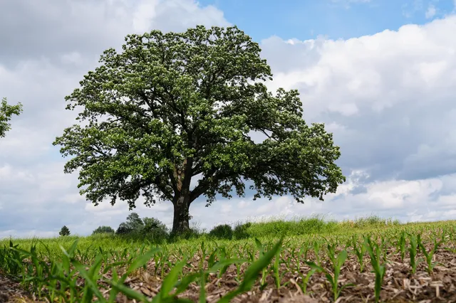 $375,000 | W11851 State Road 16, Columbus, WI 53925