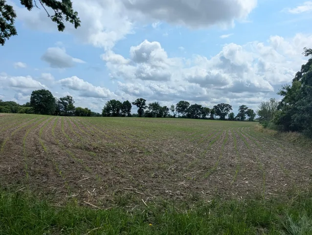 $375,000 | W11851 State Road 16, Columbus, WI 53925