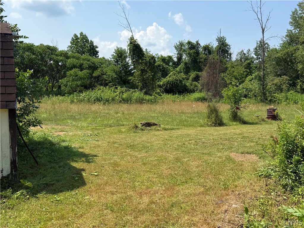 8935 Eddy Road Sullivan, NY 13032 - Photo 20 of 27 Backyard