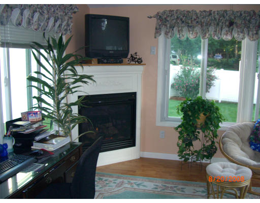 6 Middlesex Avenue Reading, MA 01867 - Photo 6 of 9 a living room with furniture a fireplace and a potted plant