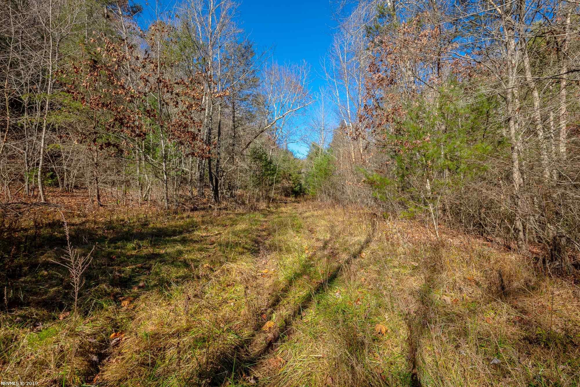 Tbd Mudlick Road Wytheville, VA 24382 - Photo 15 of 44 Gallery Image 15