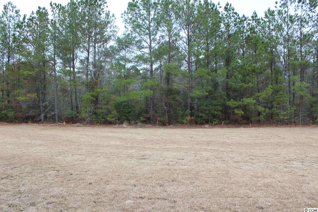 5153 Huston Road Conway, SC 29526 - Photo 22 of 31 Gallery Image 22