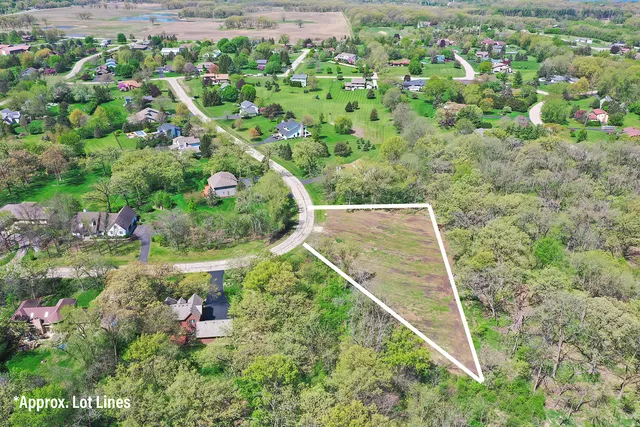 a view of a yard with plants