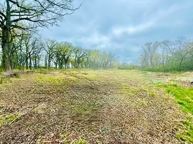 a view of a field with an ocean