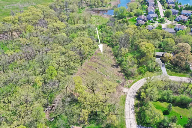 a view of a garden with plants and flowers