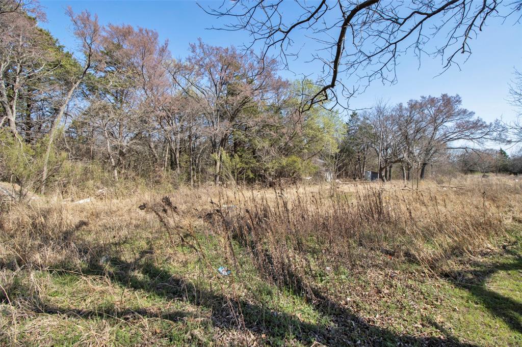 4185 Rock Creek Road Whitesboro, TX 76273 - Photo 6 of 18 View of undeveloped land