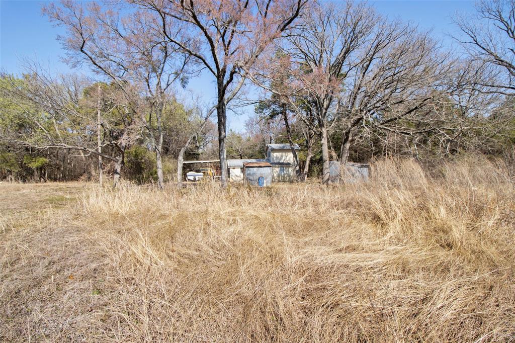 4185 Rock Creek Road Whitesboro, TX 76273 - Photo 7 of 18 View of yard