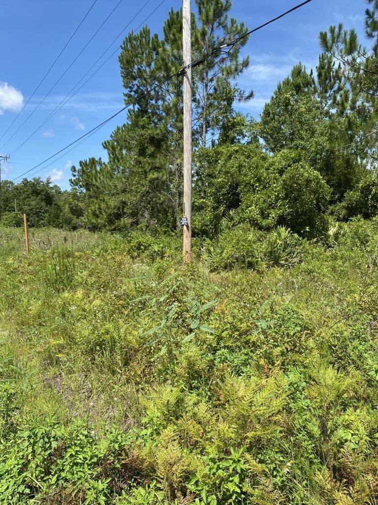 550 West River Road Palatka, FL 32177 - Photo 12 of 15