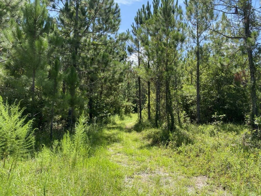 550 West River Road Palatka, FL 32177 - Photo 13 of 15