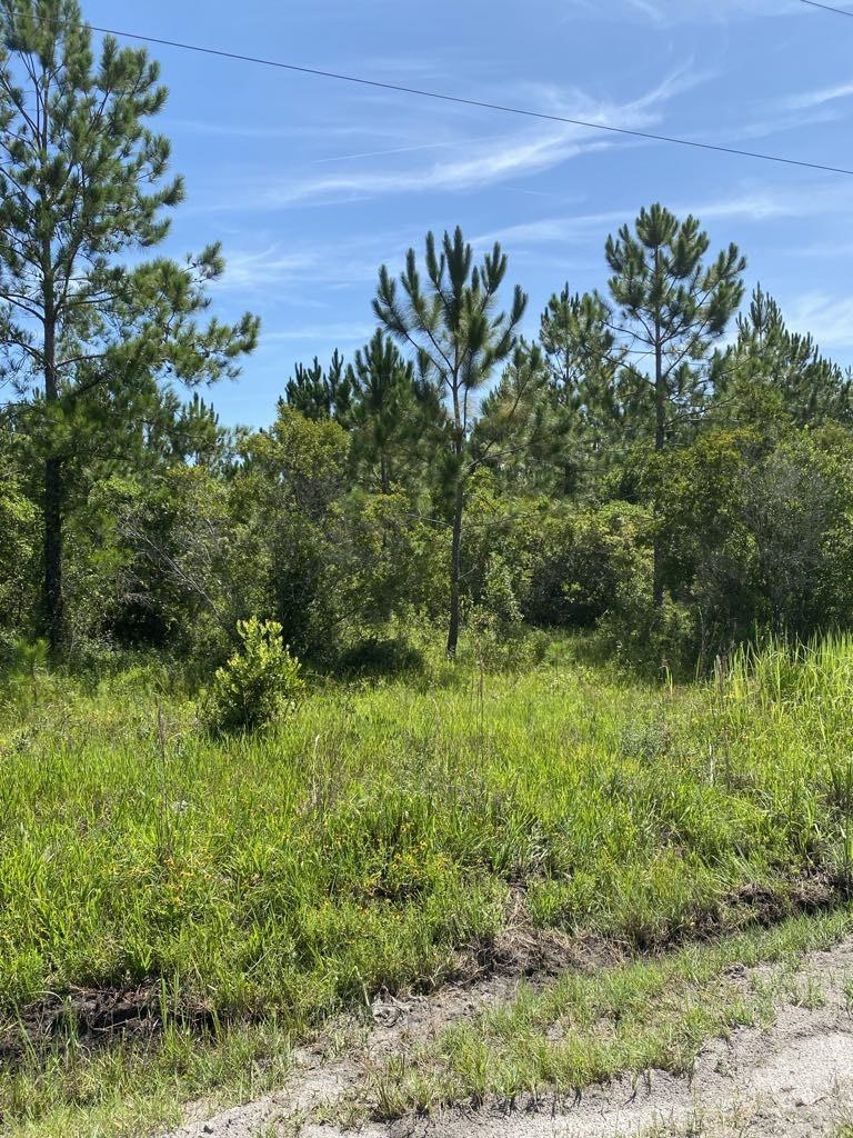 550 West River Road Palatka, FL 32177 - Photo 14 of 15