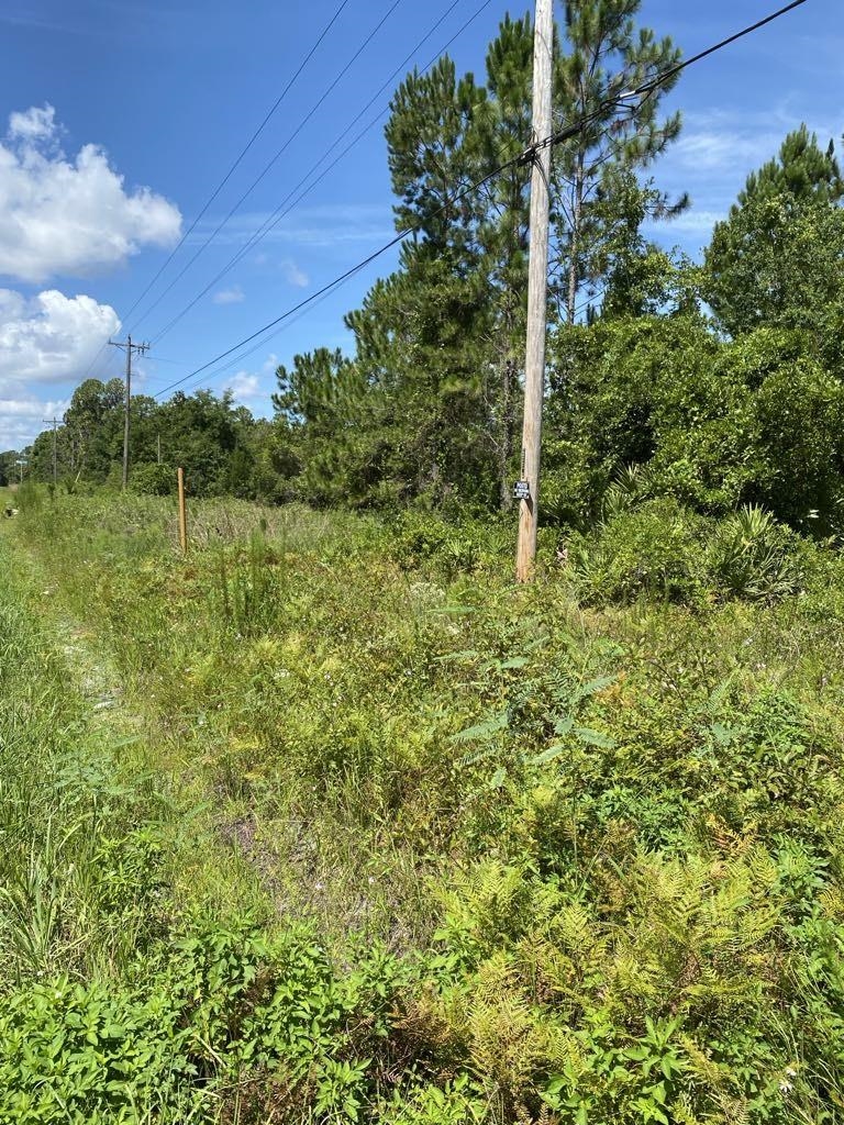 550 West River Road Palatka, FL 32177 - Photo 8 of 15