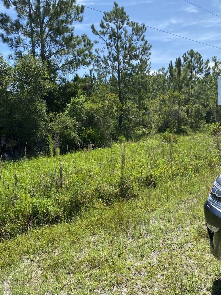 550 West River Road Palatka, FL 32177 - Photo 10 of 15