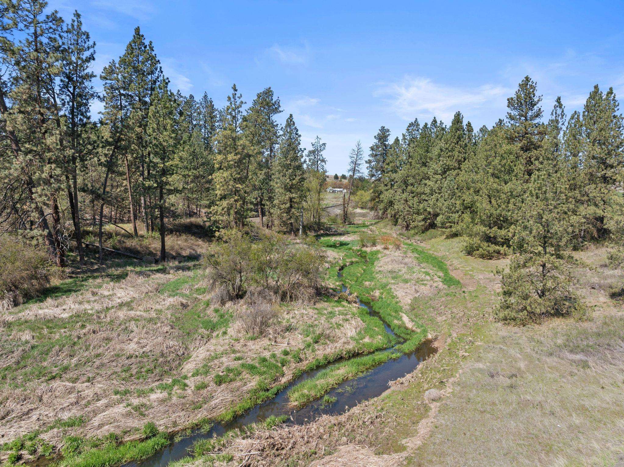 Xx Xx Vacant Land Rosalia, WA 99170 - Photo 6 of 9