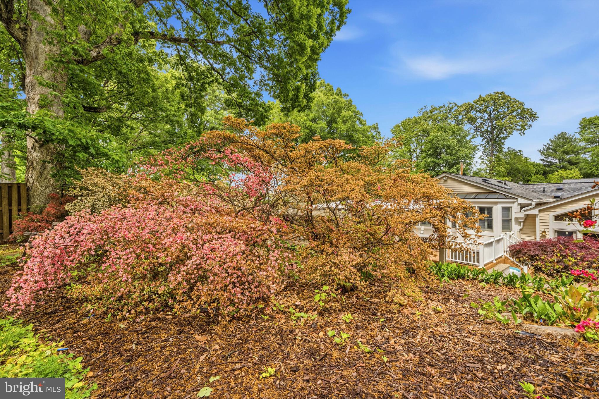 968 North Rochester Street Arlington, VA 22205 - Photo 68 of 73