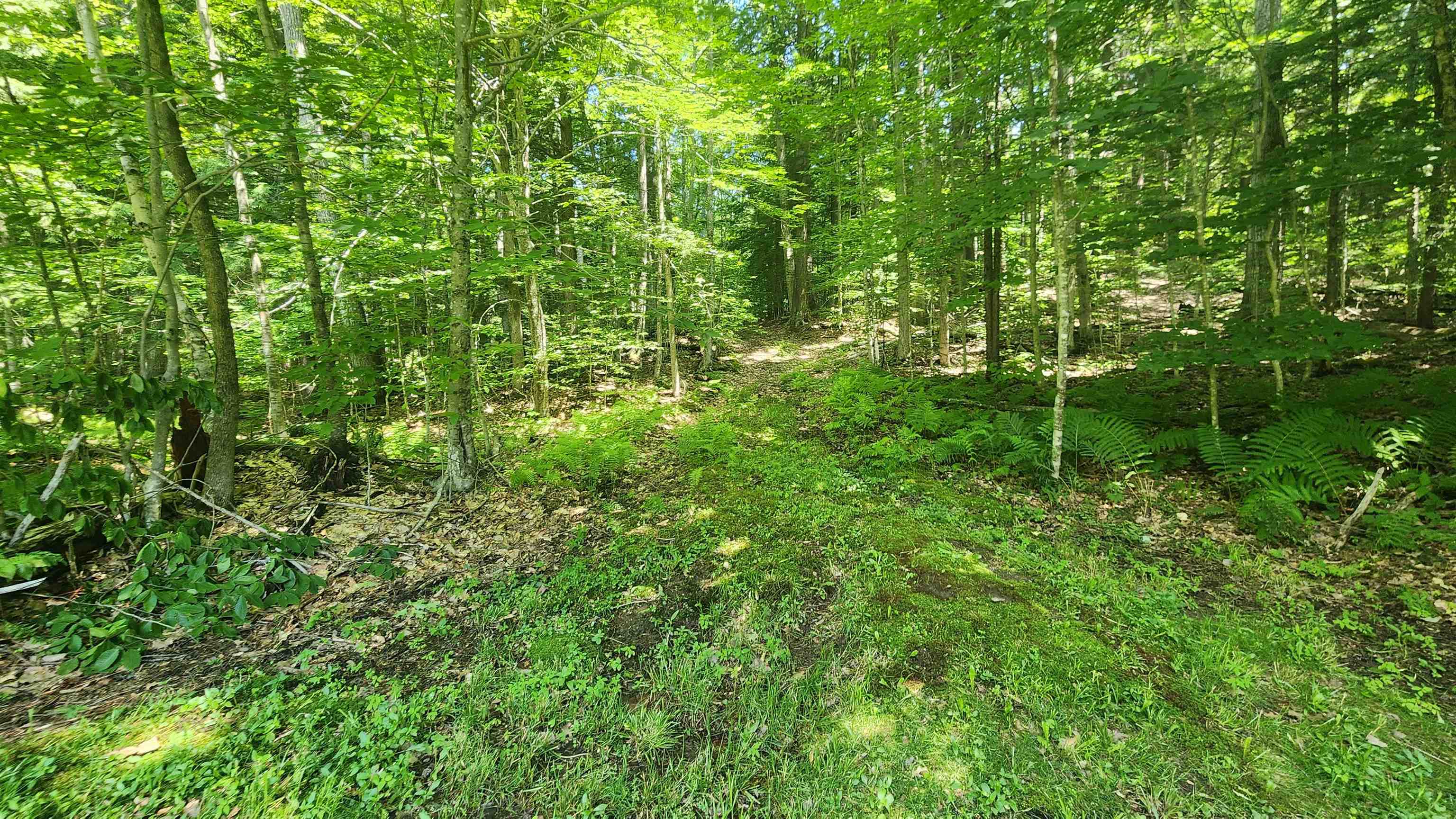 1372 Potash Brook Road Chester, VT 05143 - Photo 17 of 20