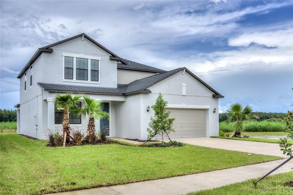 1172 Montgomery Bell Road Wesley Chapel, FL 33543 - Photo 2 of 47 a front view of a house with a yard