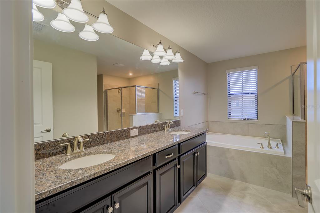 1172 Montgomery Bell Road Wesley Chapel, FL 33543 - Photo 23 of 47 a bathroom with a granite countertop double vanity sink and a mirror