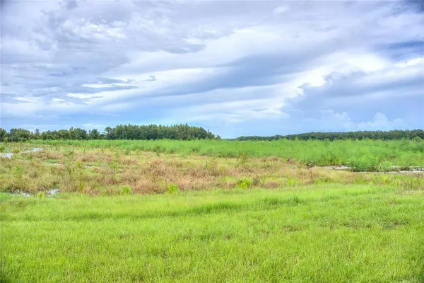 a view of lake with green field