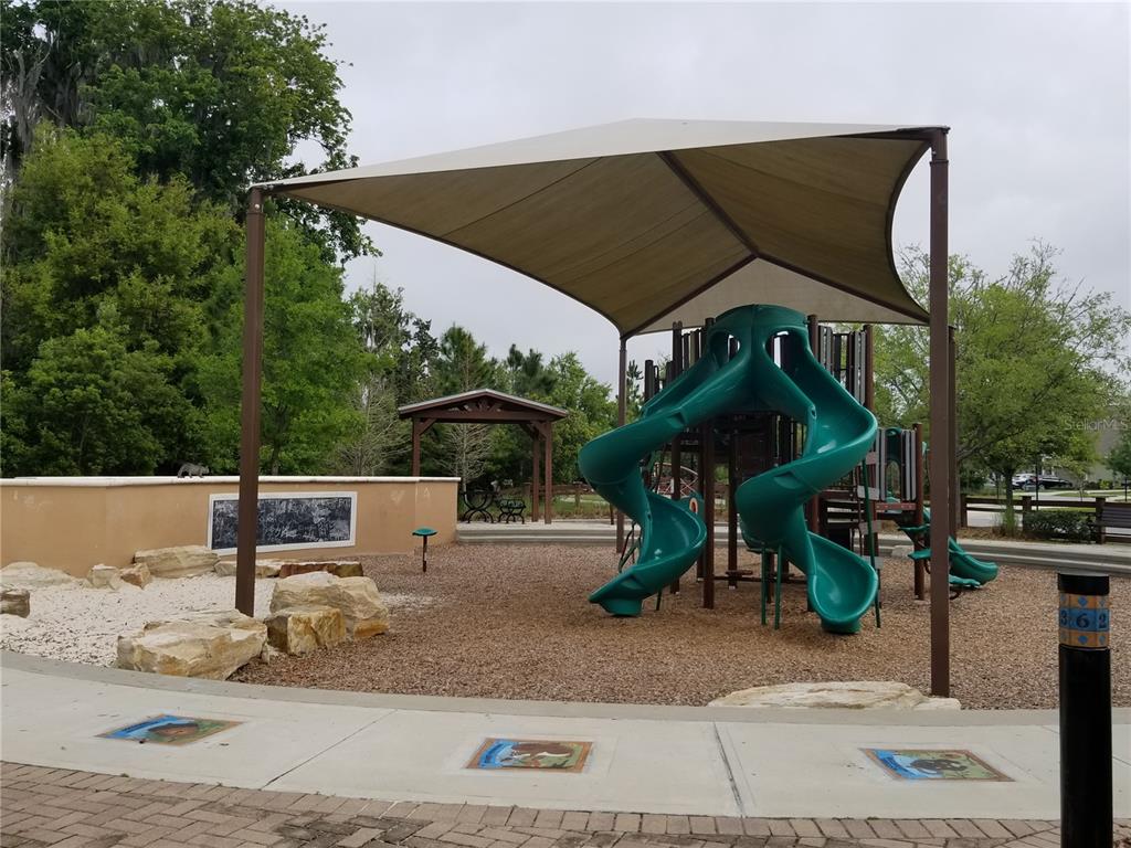 1172 Montgomery Bell Road Wesley Chapel, FL 33543 - Photo 40 of 47