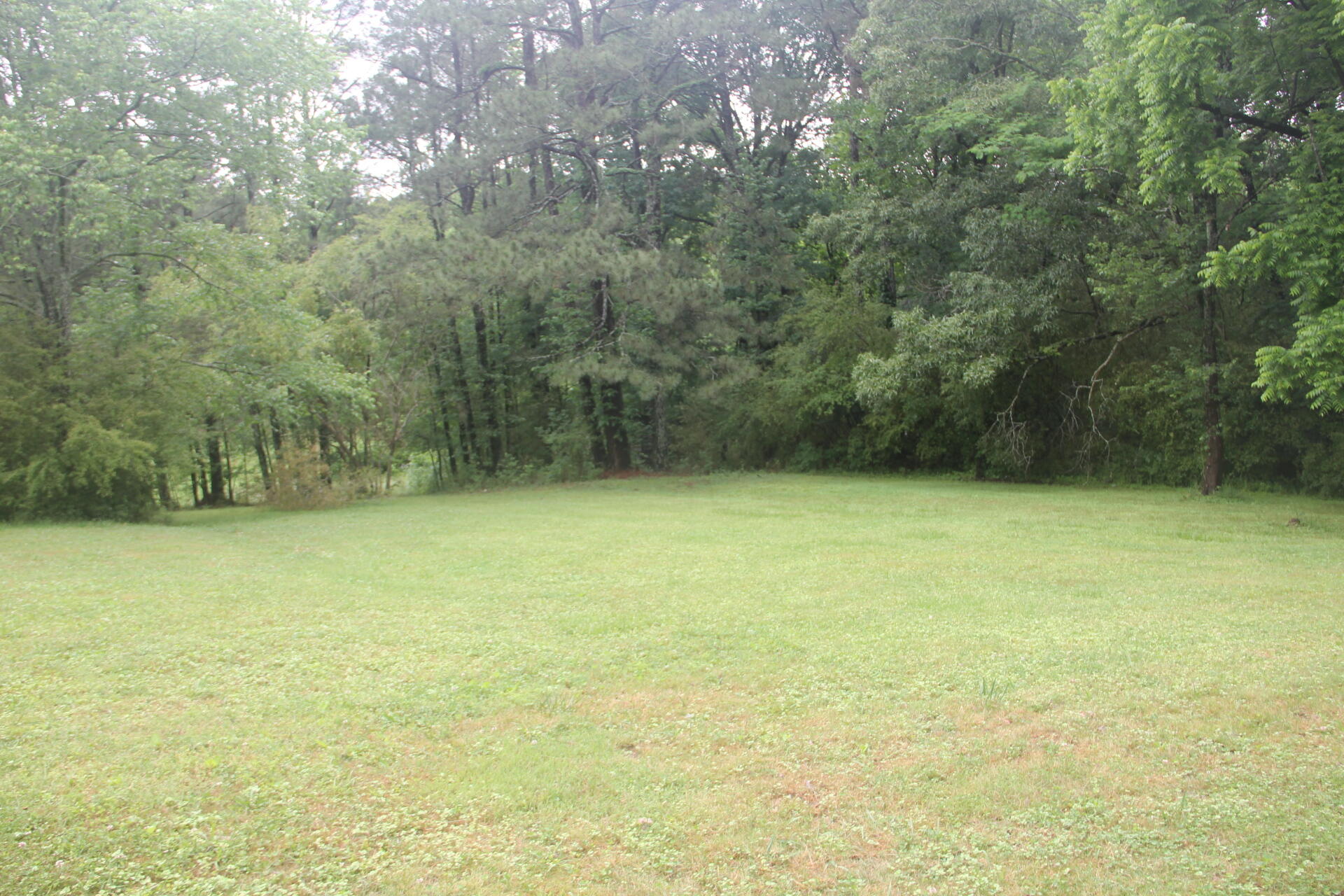 523 Cannon Road LaFayette, GA 30728 - Photo 10 of 26 IMG_4700