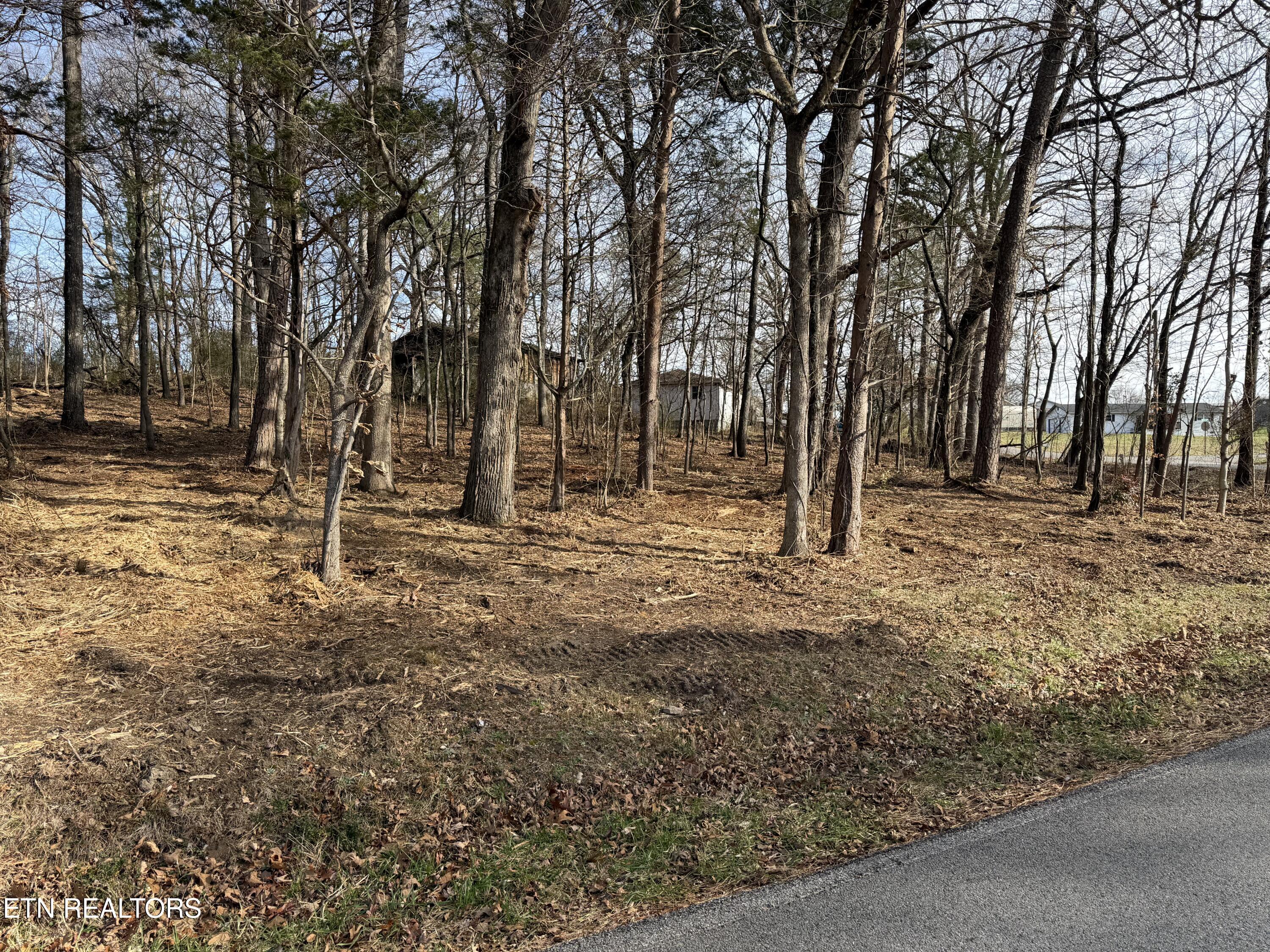 3224 Davis Ferry Road Loudon, TN 37774 - Photo 4 of 8 IMG_0244