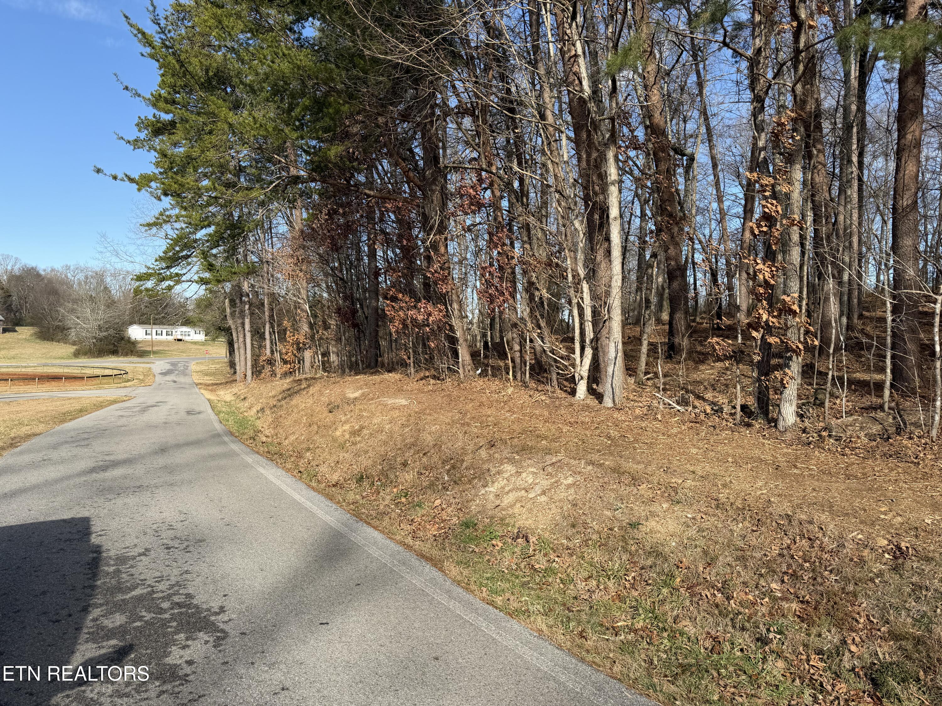 3224 Davis Ferry Road Loudon, TN 37774 - Photo 6 of 8 IMG_0246