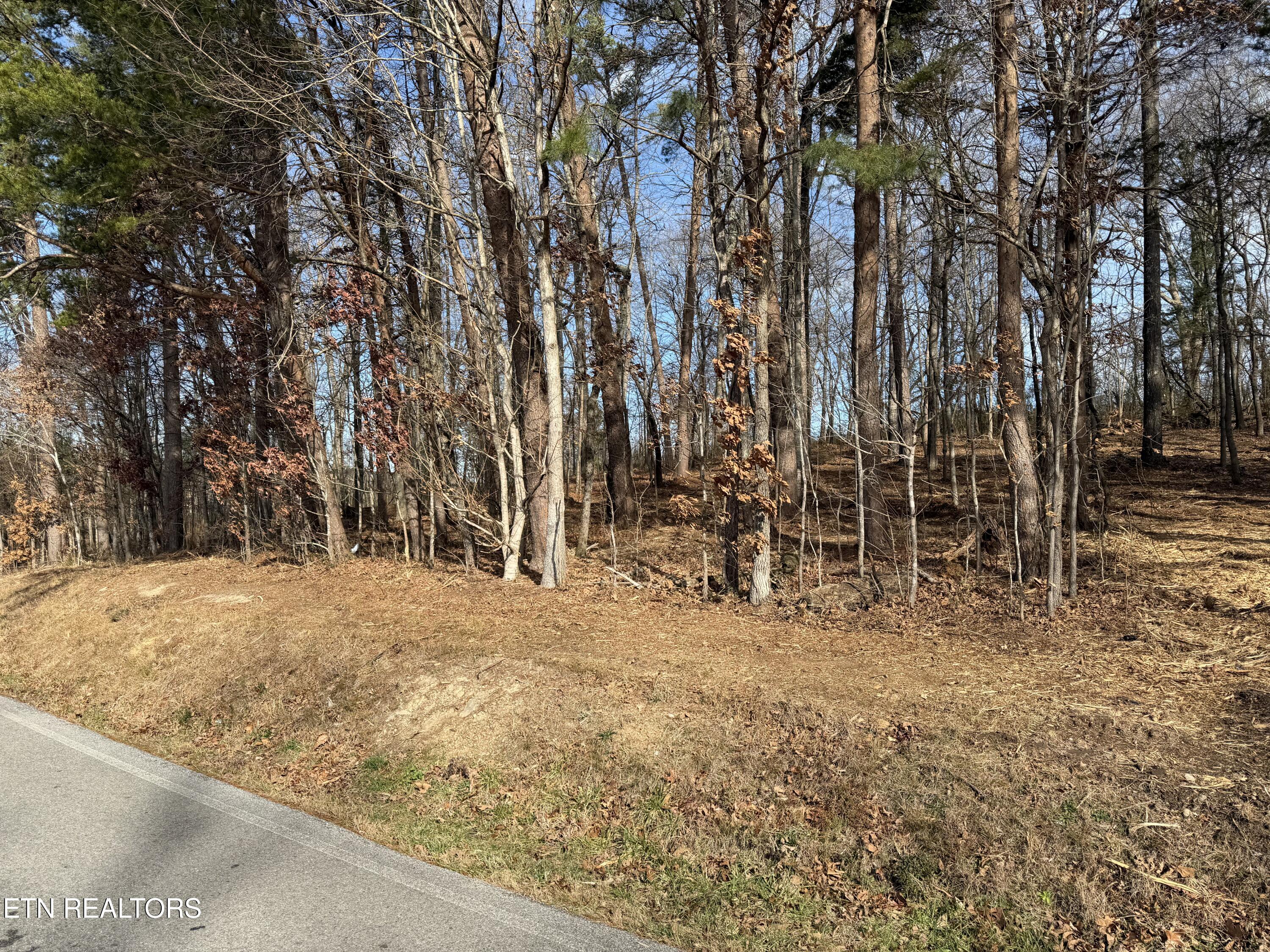 3224 Davis Ferry Road Loudon, TN 37774 - Photo 7 of 8 IMG_0245