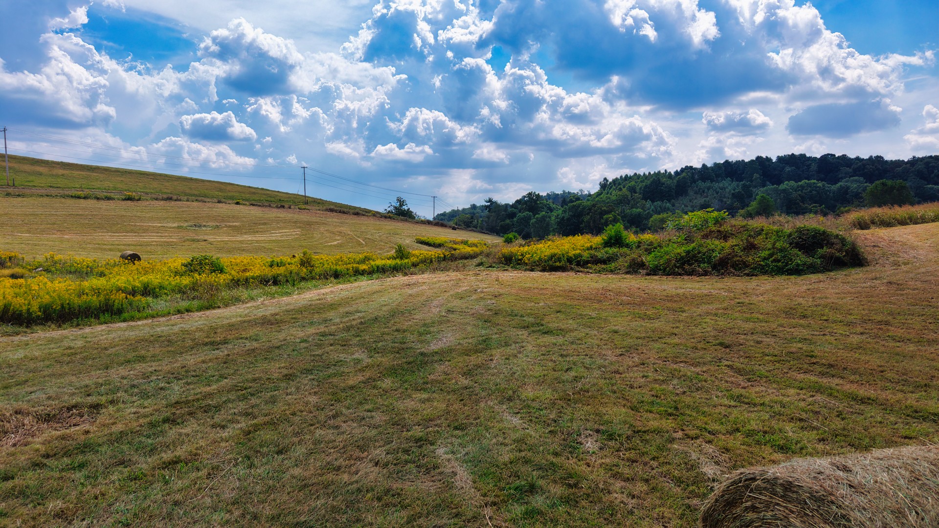 0 Mitchell Ridge Road Jonesborough, TN 37659 - Photo 20 of 82 Gallery Image 20