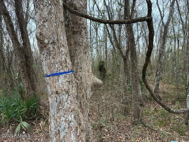 $30,000 | Lot 11 Teche Lake, New Iberia, LA 70563