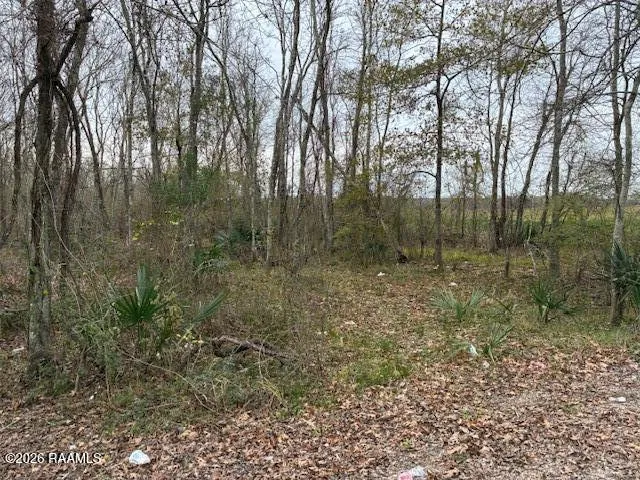 $30,000 | Lot 11 Teche Lake, New Iberia, LA 70563