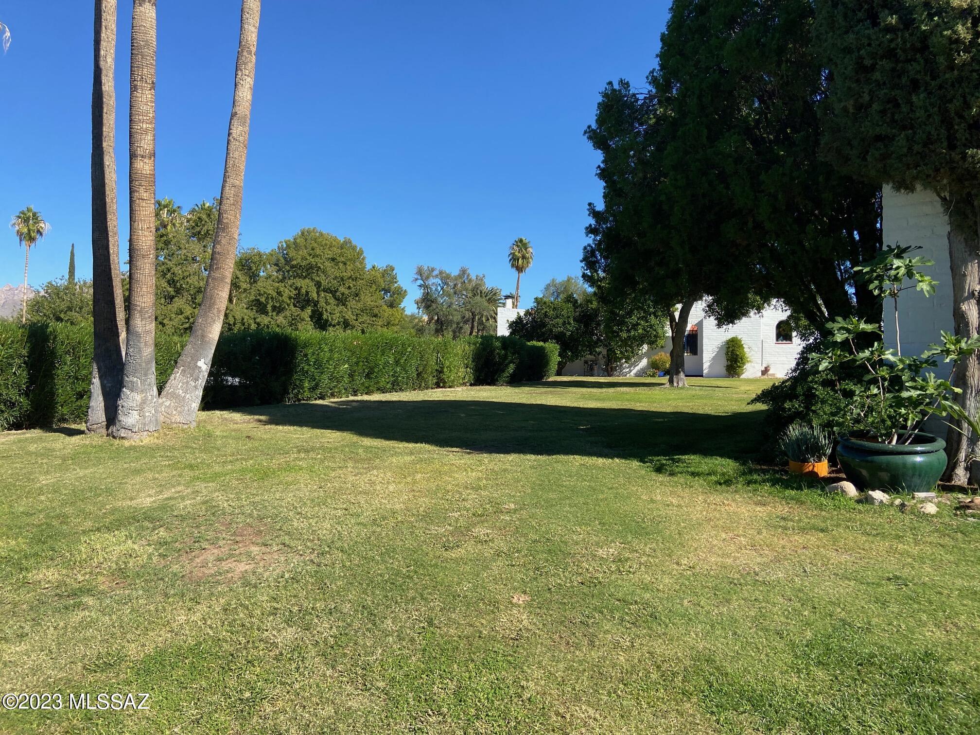 636 West Roller Coaster Road Tucson, AZ 85704 - Photo 36 of 41