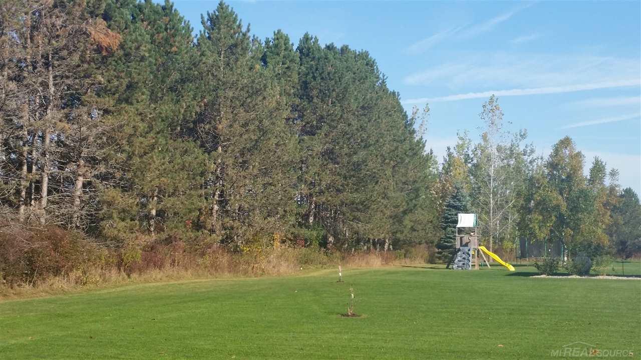 14888 Sullivan Road Capac, MI 48014 - Photo 3 of 50