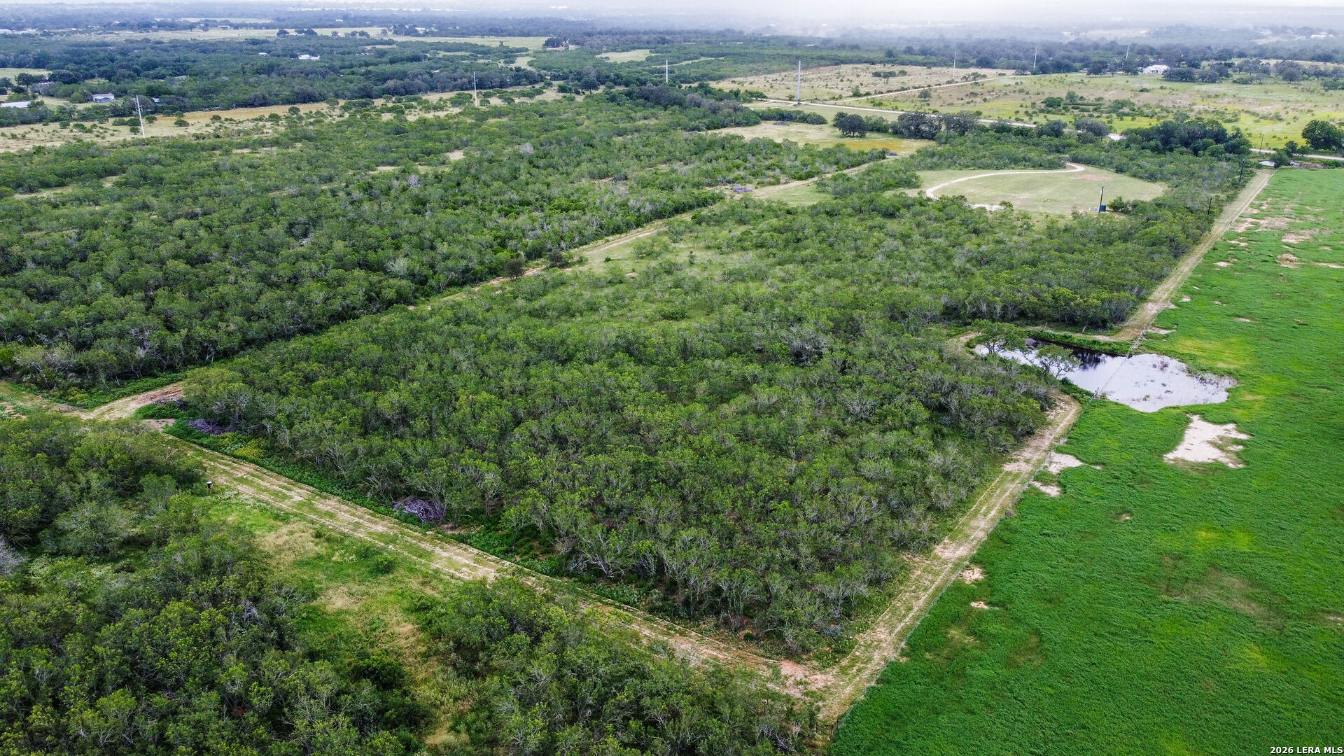 1393 Fox Trotter Road Seguin, TX 78155 - Photo 43 of 46