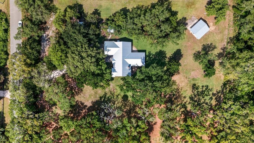 171 William Street Edgewater, FL 32141 - Photo 39 of 40 a view of a house with a tree