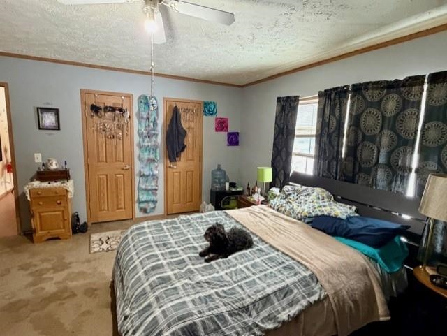 N5070 Pfaff Road Mauston, WI 53948 - Photo 13 of 31