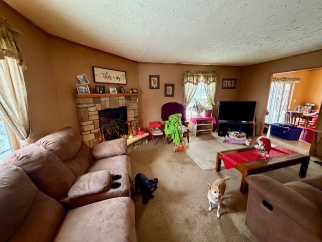 N5070 Pfaff Road Mauston, WI 53948 - Photo 18 of 31