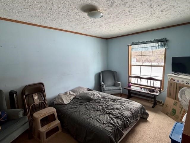 N5070 Pfaff Road Mauston, WI 53948 - Photo 20 of 31